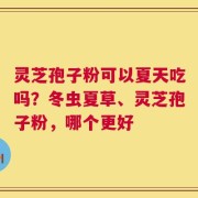 灵芝孢子粉可以夏天吃吗？冬虫夏草、灵芝孢子粉，哪个更好