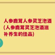 人参鹿茸人参灵芝泡酒(人参鹿茸灵芝泡酒滋补养生的佳品)