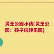 灵芝公园小孩(灵芝公园：孩子玩转乐园)