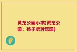 灵芝公园小孩(灵芝公园：孩子玩转乐园)