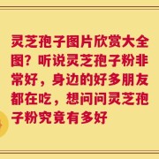 灵芝孢子图片欣赏大全图？听说灵芝孢子粉非常好，身边的好多朋友都在吃，想问问灵芝孢子粉究竟有多好