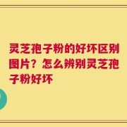 灵芝孢子粉的好坏区别图片？怎么辨别灵芝孢子粉好坏