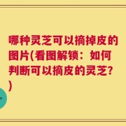 哪种灵芝可以摘掉皮的图片(看图解锁：如何判断可以摘皮的灵芝？)