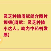 灵芝种植周斌简介图片视频(周斌：灵芝种植小达人，助力中药材发展)