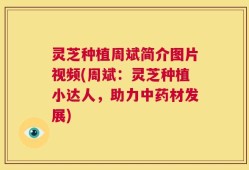 灵芝种植周斌简介图片视频(周斌：灵芝种植小达人，助力中药材发展)