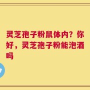 灵芝孢子粉鼠体内？你好，灵芝孢子粉能泡酒吗