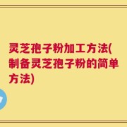 灵芝孢子粉加工方法(制备灵芝孢子粉的简单方法)