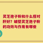 灵芝孢子粉和什么搭对肝好？破壁灵芝孢子粉的功效与作用有哪些