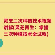 灵芝二次种植技术视频讲解(灵芝再生：掌握二次种植技术全过程)