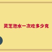 灵芝泡水一次吃多少克