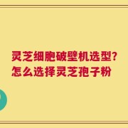 灵芝细胞破壁机选型？怎么选择灵芝孢子粉