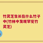 竹灵芝生长在什么竹子中(竹林中发现罕见竹灵芝)