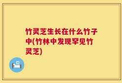 竹灵芝生长在什么竹子中(竹林中发现罕见竹灵芝)
