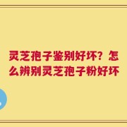 灵芝孢子鉴别好坏？怎么辨别灵芝孢子粉好坏