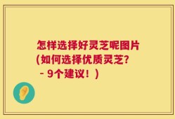 怎样选择好灵芝呢图片(如何选择优质灵芝？ - 9个建议！)