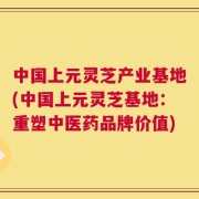 中国上元灵芝产业基地(中国上元灵芝基地：重塑中医药品牌价值)