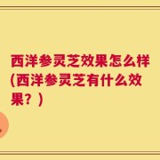 西洋参灵芝效果怎么样(西洋参灵芝有什么效果？)