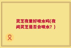 灵芝夜里好喷水吗(夜间灵芝是否会喷水？)