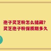 孢子灵芝粉怎么储藏？灵芝孢子粉保质期多久