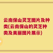 云南保山灵芝图片及种类(云南保山的灵芝种类及美丽图片展示)