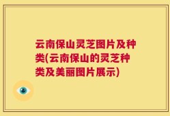 云南保山灵芝图片及种类(云南保山的灵芝种类及美丽图片展示)