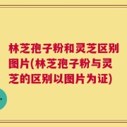 林芝孢子粉和灵芝区别图片(林芝孢子粉与灵芝的区别以图片为证)