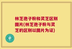 林芝孢子粉和灵芝区别图片(林芝孢子粉与灵芝的区别以图片为证)