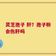 灵芝孢子 肝？孢子粉会伤肝吗
