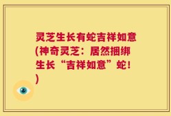 灵芝生长有蛇吉祥如意(神奇灵芝：居然捆绑生长“吉祥如意”蛇！)