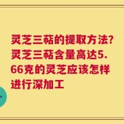 灵芝三萜的提取方法？灵芝三萜含量高达5.66克的灵芝应该怎样进行深加工