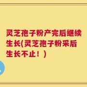灵芝孢子粉产完后继续生长(灵芝孢子粉采后生长不止！)