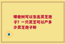 哪些树可以生出灵芝孢子？一只灵芝可以产多少灵芝孢子粉