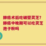 肺癌术后吃破壁灵芝？肺癌中晚期可以吃灵芝孢子粉吗