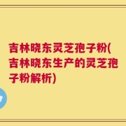 吉林晓东灵芝孢子粉(吉林晓东生产的灵芝孢子粉解析)