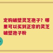 定购破壁灵芝孢子？哪里可以买到正宗的灵芝破壁孢子粉