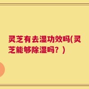 灵芝有去湿功效吗(灵芝能够除湿吗？)