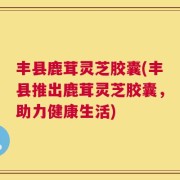 丰县鹿茸灵芝胶囊(丰县推出鹿茸灵芝胶囊，助力健康生活)