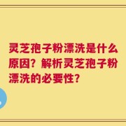 灵芝孢子粉漂洗是什么原因？解析灵芝孢子粉漂洗的必要性？