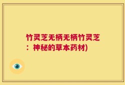 竹灵芝无柄无柄竹灵芝：神秘的草本药材)