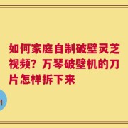 如何家庭自制破壁灵芝视频？万琴破壁机的刀片怎样拆下来