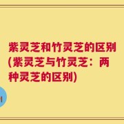 紫灵芝和竹灵芝的区别(紫灵芝与竹灵芝：两种灵芝的区别)