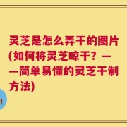 灵芝是怎么弄干的图片(如何将灵芝晾干？——简单易懂的灵芝干制方法)