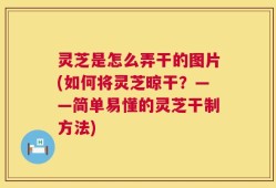 灵芝是怎么弄干的图片(如何将灵芝晾干？——简单易懂的灵芝干制方法)