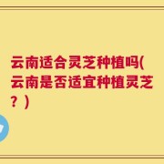 云南适合灵芝种植吗(云南是否适宜种植灵芝？)