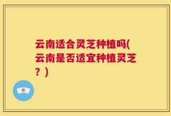云南适合灵芝种植吗(云南是否适宜种植灵芝？)