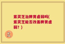 紫灵芝治脾胃虚弱吗(紫灵芝能否改善脾胃虚弱？)