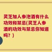 灵芝加人参泡酒有什么功效和禁忌(灵芝人参酒的功效与禁忌你知道吗？)