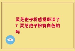 灵芝孢子粉感觉斑淡了？灵芝孢子粉有白色的吗