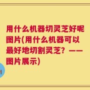 用什么机器切灵芝好呢图片(用什么机器可以最好地切割灵芝？——图片展示)