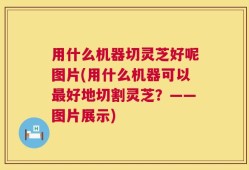 用什么机器切灵芝好呢图片(用什么机器可以最好地切割灵芝？——图片展示)